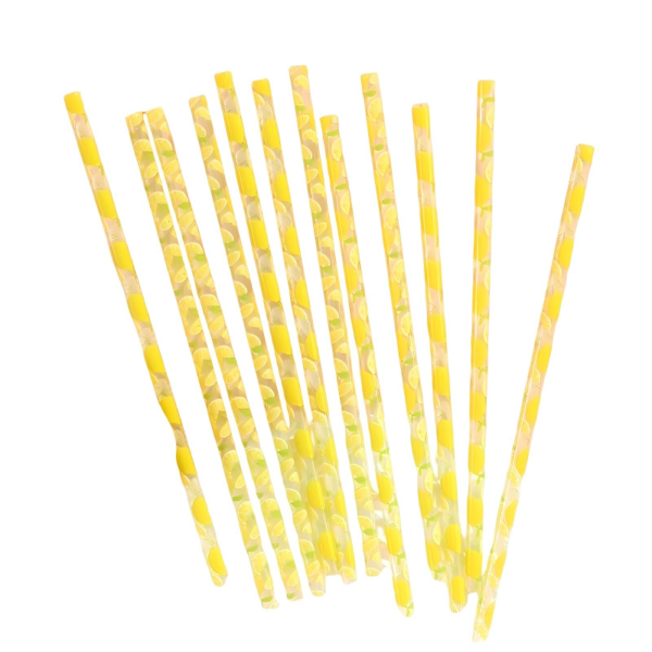 Reusable PP Straws with Fruit Prints