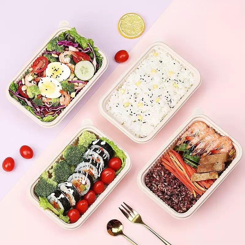 Biodegradable Corn Starch Disposable Food Container – Food-Grade 4-Compartment Takeout Box - Image 3