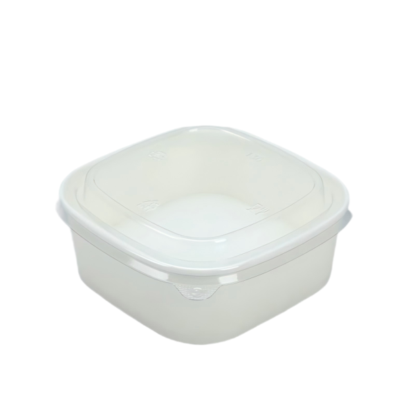 White Square Kraft Paper Containers – Disposable Fruit, Salad & Takeout Boxes