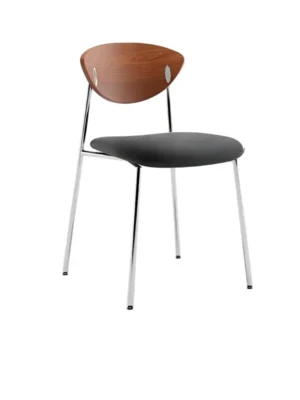 Vintage Dining Chairs